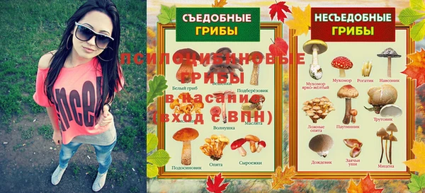 СК Инсар