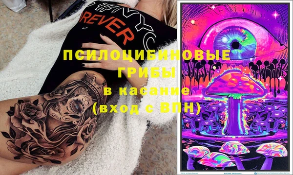 СК Инсар