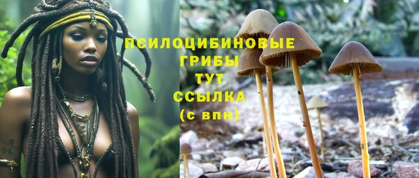 СК Инсар