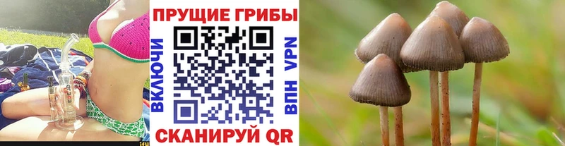 Купить  Уссурийск  Галлюциногенные грибы мухоморы 